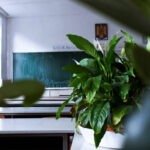 Sostenibilidad y Educación...