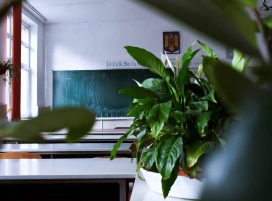 Sostenibilidad y Educación: Reduciendo la Huella de Carbono en las Aulas