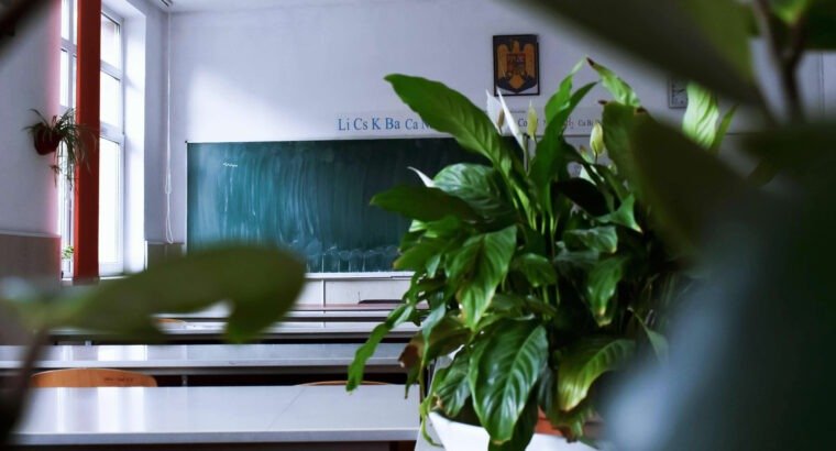 Sostenibilidad y Educación: Reduciendo la Huella de Carbono en las Aulas